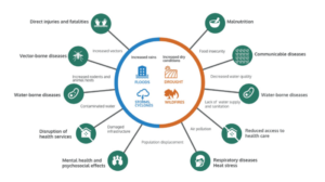 WHO Diagram for Libya Floods